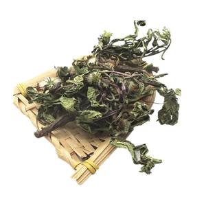 PuGongYing新鮮な原料Pu GongYing中国の天然TARAXACI乾燥モンゴルタンポポ茶 - Product Image 5