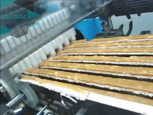 เครื่องทำช็อกโกแลตแท่งมาร์สทวิกซ์อัตโนมัติคุณภาพสูง/เครื่องเคลือบช็อกโกแลตนูกัต - Product Image 2