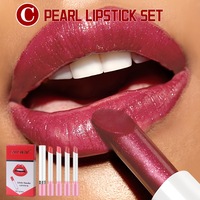 Vente en gros de rouge à lèvres Vegan mignon Cigarette ensemble 4 couleurs mates imperméables en boîte fumée rouge à lèvres liquide crème minérale rouge nu