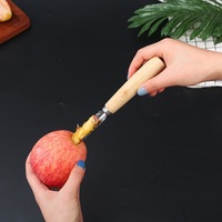 Oprechte Roestvrijstalen Keukengereedschap Handmatige Kernverwijderaar Voor Groenten En Fruit Houten Handvat Voor Het Uitboren Van Appels En Paprika 'S