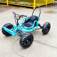 Kart à dérive haute puissance aux couleurs personnalisables avec frein à main, buggy de divertissement pour adultes, adolescents et enfants