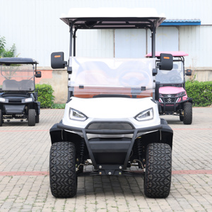 Carritos de Golf Profesionales Chinos de 2 Pasajeros y 4 Ruedas, Precios Económicos, Carrito Tipo Buggy en Venta, Carrito Pequeño para Golf - Product Image 2