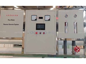 Système de traitement de l'eau automatique en acier inoxydable 30000LPH, machine de filtration d'eau par osmose inverse 4040 pour usage commercial - Product Image 6