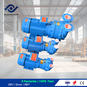BOYUAN 2BV Series Horizontal Single-Stage Water <b>Ring</b> Vacuum Pump OEM High Direct <b>Coupling</b> Industrial Use Clean - Product Image 5