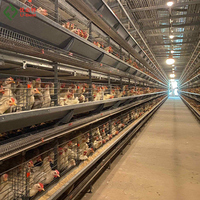 Offre Spéciale : Distributeur Automatique de Nourriture pour Poulets, Équipement d'Élevage Avicole, Cage à Batterie pour Poulets de Chair (10 000 oiseaux), Durable et Stable