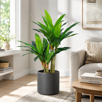 Arbre artificiel hyper-réaliste en PE Dracaena Fragrans, plante Dragon, 80 cm, moderne, ignifuge et résistant aux UV, directement de l'usine, pour la décoration de la maison et du bureau