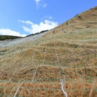 Couvertures en fibres de coco naturelles Eco-Legal pour le contrôle de l'érosion des sols – Produits originaux pour travaux de terrassement