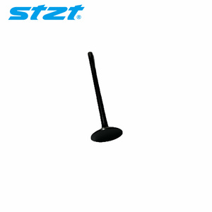 STZT 11347505731 Katup Masuk/Buang Mesin Standar 33.0X5.94 Stem Kit 1134 7505 731 untuk BMW E34 E36 E46 E84 - Product Image 2