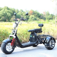 2000w 60v1 2ah/20ah batterie au lithium citycoco gros pneu cee scooters électriques trois roues moto tricycle tricycle tricycle