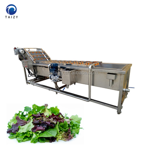 Commercial Multipurpose Vegetable And Fruit Washing Machine Leafy Vegetables Melon Washer