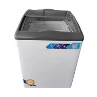 Mini congélateur commercial à affichage de porte en verre à température unique 200L refroidisseur de crème glacée profonde et réfrigérateur à vendre