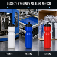 Bouteille d'eau compressible personnalisée avec logo et bouchon push-pull pour le cyclisme et les sports – Fabricant OEM/ODM, faible MOQ, vente en gros