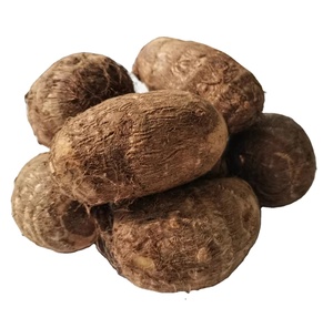 أحدث محصول القلقاس الطازج المغسول بالماء الطازج مصنع القلقاس عالية الجودة - Product Image 1