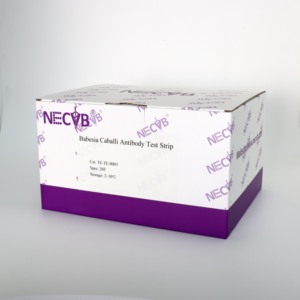 Babesia caballi <strong>Antibody</strong> Rapid Test Strip | Fluorescent Lateral Flow Assay for Equine Piroplasmosis - Product Image 2