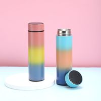 Bouteille d'eau avec affichage de la température LED Bouteille d'eau isolée sous vide à double paroi, bouteille de voyage de sport en acier inoxydable