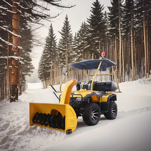 Woer 15HP Soplador de nieve de gas automático Sopladores de nieve de gasolina autónomos para ATV Equipo de cepillo de barredora de carretera - Product Image 4