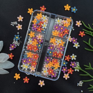 Caja de 6 rejillas, flor francesa de cinco pétalos, decoración de uñas, plástico 3D, flor pequeña blanca, mate, fácil de aplicar - Product Image 4