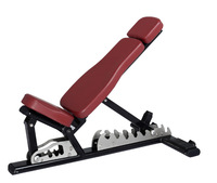 Banc de musculation multifonctionnel commercial moderne en acier pliable et réglable, série Bird Bench, pour abdominaux et entraînement fitness, modèle Roman