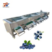 Automatische Blauwe-bessen Sorteermachine Blauwe-bessen Graderingsmachine Fruit- en Groentesorteermachine