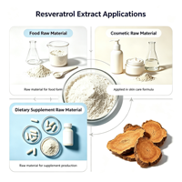Extrait de Polygonum Cuspidatum Trans-Resvératrol Standardisé 5%-98% Ingrédient en Vrac