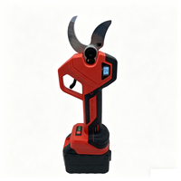 Industriële borstelloze snoerloze 21V 1800W lithium-accu SK5-mes fruitboom druivenranken olijf snoeischaar tuinsnoeischaar