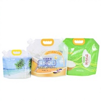 Pochettes souples transparentes personnalisées de 500 ml à 5 L avec bec verseur en aluminium, pour bière et boissons, étanches et recyclables