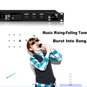 GAX-K510 kỹ thuật số và analog hiệu ứng kép phía trước giai đoạn <span class=keywords><strong>Effector</strong></span> - Product Image 5