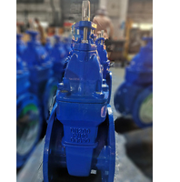 Vanne à opercule en fonte ductile GGG50 DIN3352 F4 à extrémité à bride, siège en métal dur massif, DN50-DN300 DN200 PN10 PN16, Fabrication professionnelle
