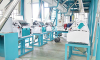 Machine de meunerie industrielle pour maïs de 30 tonnes, prix de la machine de meunerie pour maïs, machine de meunerie pour maïs