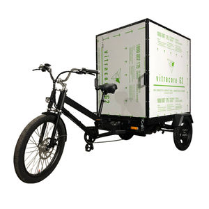 Vélo <span class=keywords><strong>Cargo</strong></span> Tricycle Électrique Homologué CE / Vélo <span class=keywords><strong>Cargo</strong></span> en Vente en UE - Product Image 1