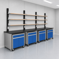 Table de laboratoire de chimie en acier et bois avec étagère et armoire à réactifs en résine époxy, idéale pour les laboratoires scientifiques scolaires - Vente en gros