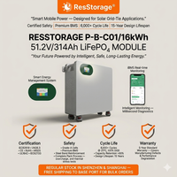 Système de stockage d'énergie domestique modulaire 51,2 V 314 Ah 16,08 kWh avec batterie LiFePO4 et armoire CAN pour usage commercial, garantie 5 ans