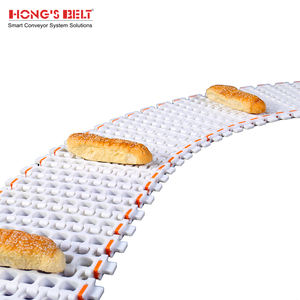 Süper geniş konveyörler için HONGSBELT HS-300B-PLUS kavisli modüler plastik konveyör bant - Product Image 4