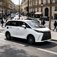 Véhicule électrique SUV de luxe 3500W haute puissance longue portée 5 portes 5 places avec vitesse de 45 km/h capacité de charge de 1000 kg couleur personnalisée