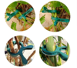 Clips de support pour plantes en plastique vert, clips réglables pour vignes, pinces pour cages à tomates, pour piquets en bambou, treillis de jardinage - Product Image 2