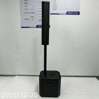 VAMAV XPECTRA 800 Haut-parleurs colonne, haut‑parleur de colonne actif DSP 12'', Bluetooth TWS, microphone, équipement professionnel pour scène, OEM