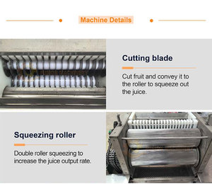 Presse-agrumes à double rouleau pour fruits, citron, citronnelle, <span class=keywords><strong>satsuma</strong></span>, avec épluchage automatique, machine à jus entièrement automatique - Product Image 4