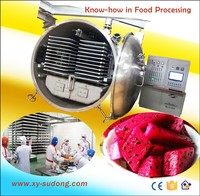 2026 Beste Kwaliteit Xinyang 200m² Vriesdroogmachine voor fruit