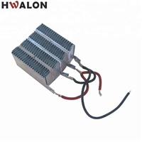 Chauffe-air en céramique PTC Température constante Élément chauffant Ptc 100W AC/DC 12V Incubateur