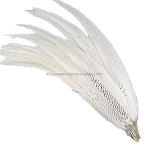 Chất Lượng Cao 15-80 Cm Nhuộm Bạc Gà lôi Đuôi Lông Cho Đám Cưới Bên DIY Thủ Công Mỹ Nghệ Carnivals - Product Image 4