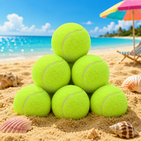 Lot de 6 balles de tennis d'entraînement certifiées ITF - Matériau en caoutchouc à haute élasticité, jouet pour animaux de compagnie