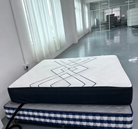 Matelas de lit intelligent réglable avec levage électrique, massage, chauffage, contrôle de la fermeté, zéro gravité, application Tuya, pour école, hôtel, maison, chambre à coucher
