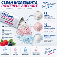 Creatine Monohydrate Collageen Peptide Hydratatie Drinkmix Suiker Vrij Elektrolyten Poeder Stick Pack Private Label Aangepaste Smaak