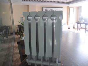 <span class=keywords><strong>Radiateur</strong></span> électrique hydronique en aluminium à caloduc <span class=keywords><strong>pour</strong></span> le chauffage de l'<span class=keywords><strong>eau</strong></span> - Product Image 6