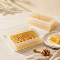 Caja de Plástico Transparente para Miel, Equipo de Apicultura, Envase para Panal de Miel, Contenedor para Miel en Casete