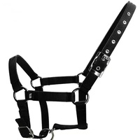 Licol de haute qualité réglable, en polypropylène tissé durable, pour bétail et chevaux, plusieurs couleurs