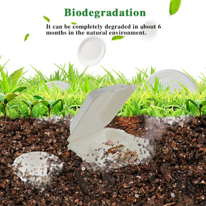 Biodegradable Food Food Compartment Biodegradable Disposable Takeaway Microwaveable Clam Shell Takeout Compostable Food Packaging Boxes