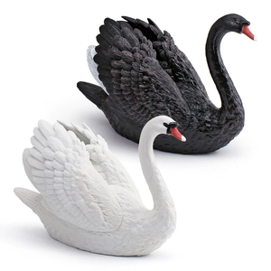Modèle de cygne animal sauvage simulé, jouets cognitifs pour enfants, volailles de ferme, cygne blanc, cygne noir, ornements décoratifs - Product Image 5