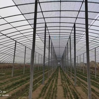 Invernadero Grande con Estructura Metálica para Horticultura, Invernadero Tropical con Cubierta de Láminas de Policarbonato, Mejor Precio