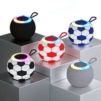 Speaker Bluetooth Portabel 310 dengan Lampu RGB Warna-warni, Output 5W, Baterai, TF, USB, Radio FM, Grosir, Hadiah Promosi